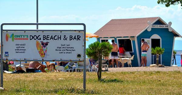 Apartman Brankica Crikvenica Zewnętrze zdjęcie